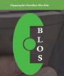 ORGANIZAÇÕES CONTÁBEIS BLOS LTDA