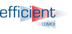 EFFICIENT ASSESSORIA EM COMÉRCIO EXTERIOR