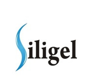 Siligel novo sales hamburgo