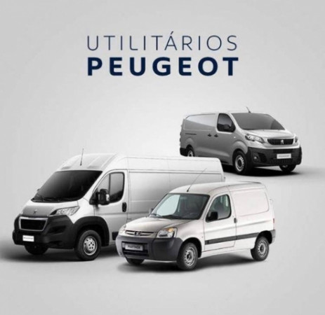 Peugeot Professional Days