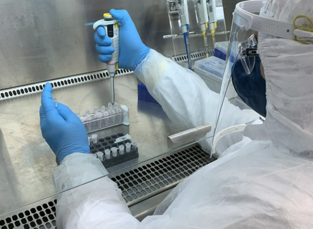 Detecção molecular do HPV é uma das formas de prevenir o câncer de útero