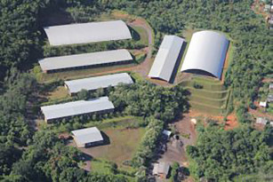 Dia Mundial do Meio Ambiente