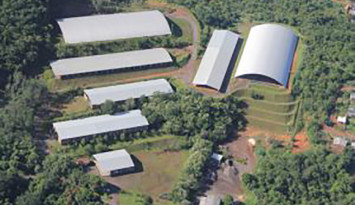 Dia Mundial do Meio Ambiente