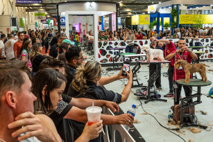 Feipet reúne mercado PET e VET em junho em Novo Hamburgo