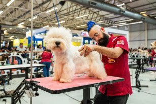 Feipet começa neste domingo em Novo Hamburgo