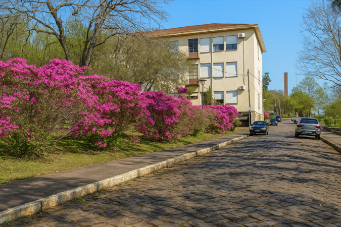 Instituto Ivoti oferece bolsas de estudos em diversas áreas