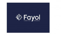 Fayol Consultoria Empresarial